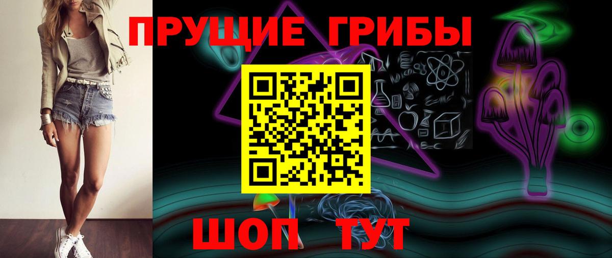 Шатура  Псилоцибиновые грибы GOLDEN TEACHER  Вход с VPN  Псилоцибиновые грибы ЛСД 
